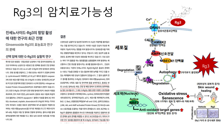 bc1162a2bd7ea9ae958e53feba7b6dd8_1776760878_0054.png bc1162a2bd7ea9ae958e53feba7b6dd8_1776760878_0054.png